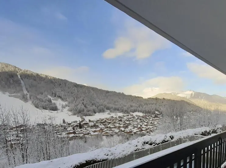 Residence Les Fayards Morzine Apartment